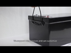 Lifepo4 12V 24V Lithiumbatterij 100ah 200ah 240ah Met BMS